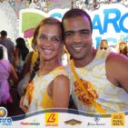 Bloco Skol Folia